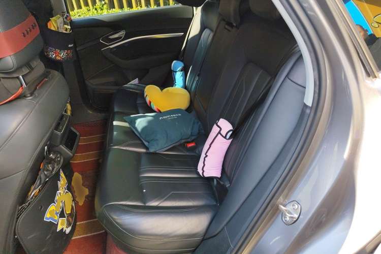 Used Audi e-tron 2019 55 quattro Technology Edition Left Rear Seat