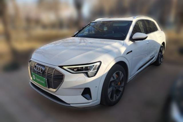 Used Audi e-tron 2019 55 quattro Exclusive Edition