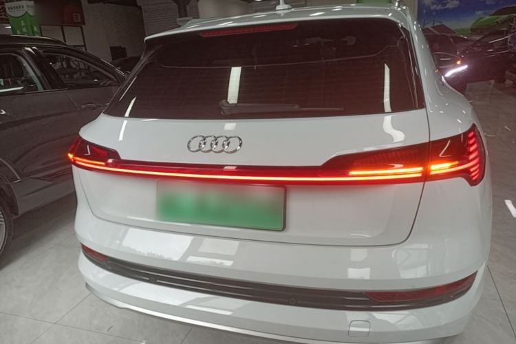 Used Audi e-tron 2019 55 quattro Technology Edition Rear