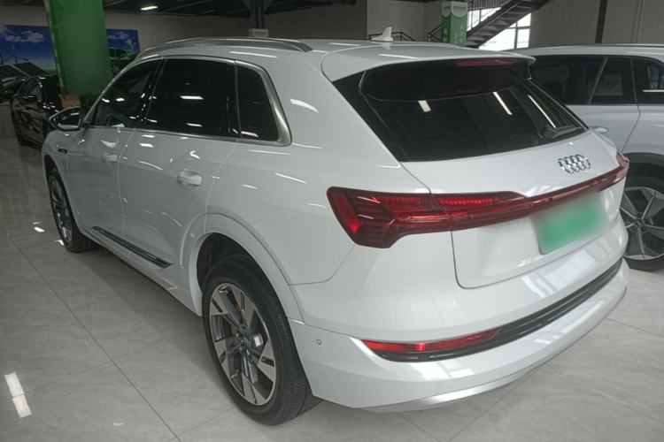Used Audi e-tron 2019 55 quattro Technology Edition Rear Left 45 Deg