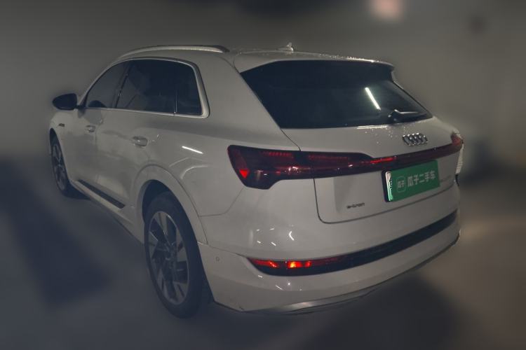 Used Audi e-tron 2019 55 quattro Technology Edition Rear Left 45 Deg