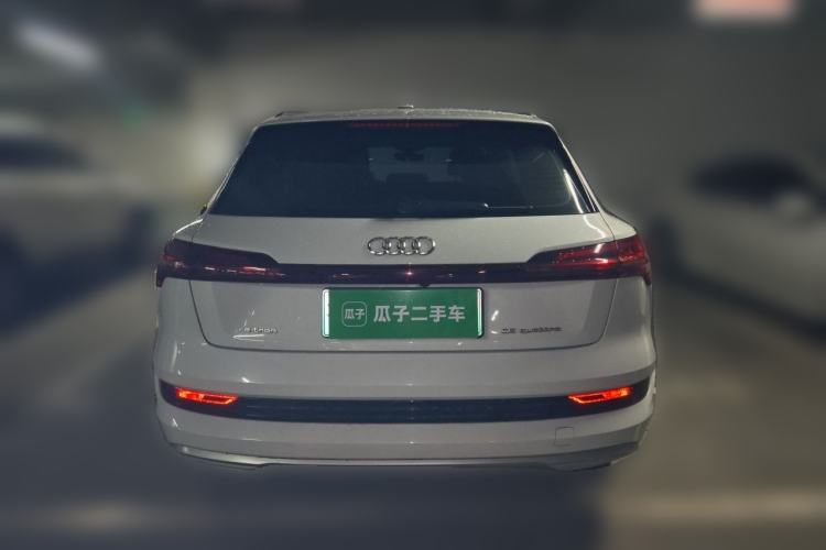 Used Audi e-tron 2019 55 quattro Technology Edition Rear