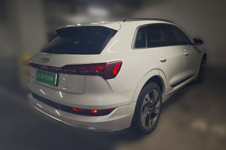 Used Audi e-tron 2019 55 quattro Technology Edition Rear Right 45 Deg
