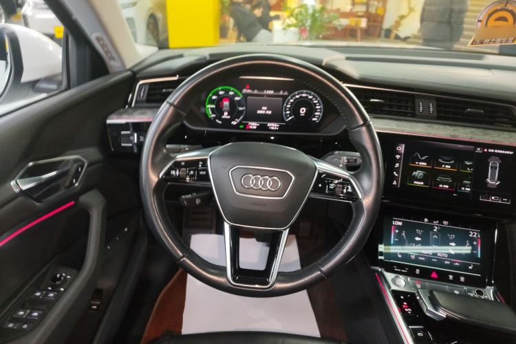 Used Audi e-tron 2019 55 quattro Fashion Edition Steering Wheel