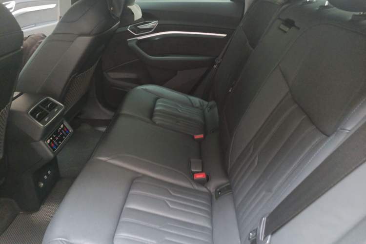 Used Audi e-tron  Left Rear Seat