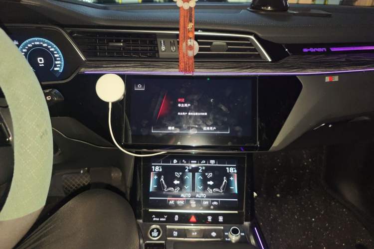 Used Audi e-tron 2021 50 quattro Luxury Edition Audio And AC Panel