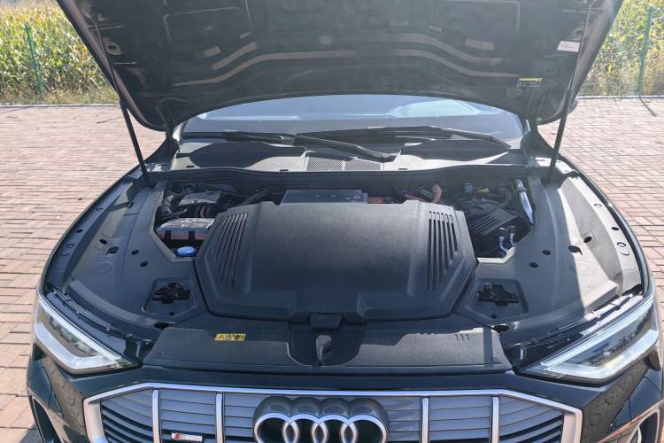 Used Audi e-tron 2021 50 quattro Luxury Edition Engine Bay