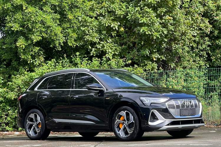Used Audi e-tron 2021 50 quattro Prestige Edition Exterior 2