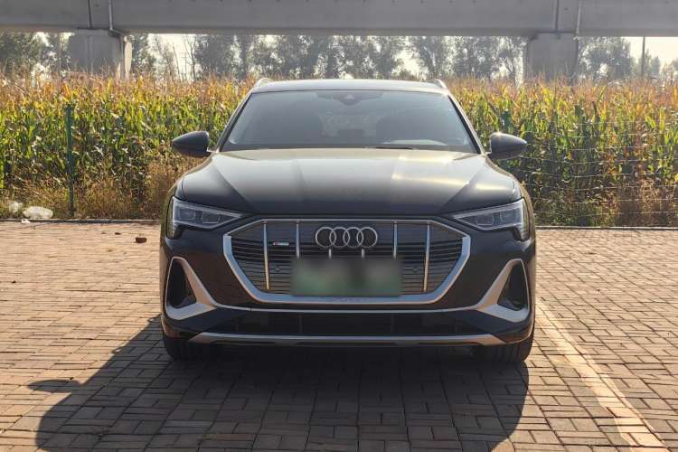 Used Audi e-tron 2021 50 quattro Luxury Edition Front
