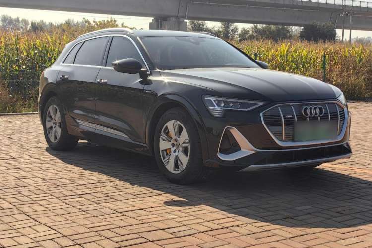 Used Audi e-tron 2021 50 quattro Luxury Edition Front Right 45 Deg