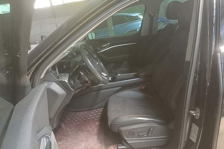 Used Audi e-tron 2021 50 quattro Prestige Edition Left Front Seat