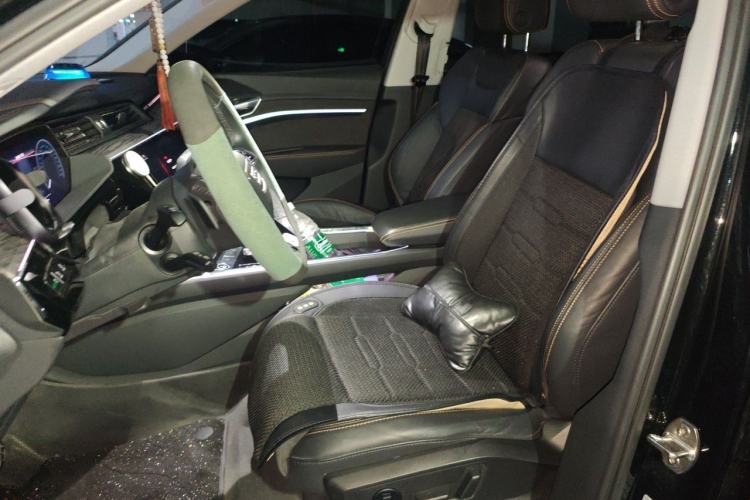 Used Audi e-tron 2021 50 quattro Luxury Edition Left Front Seat