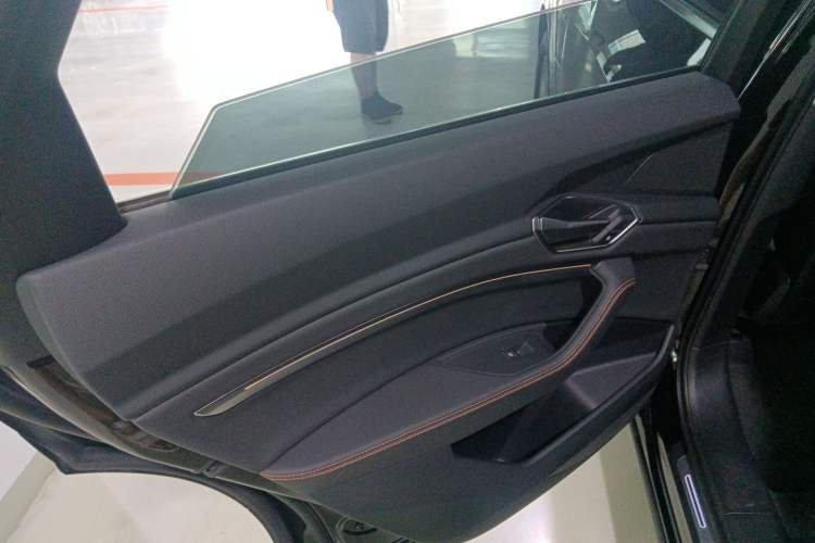 Used Audi e-tron 2021 50 quattro Luxury Edition Left Rear Door Interior