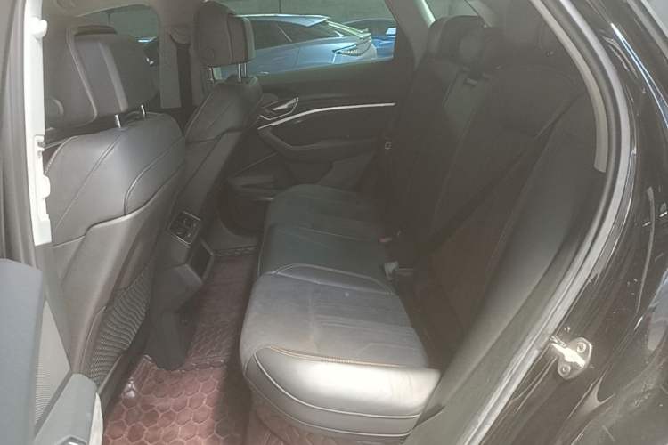 Used Audi e-tron 2021 50 quattro Prestige Edition Left Rear Seat