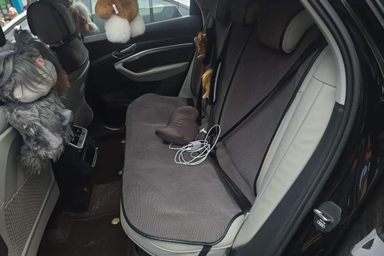 Used Audi e-tron 2021 50 quattro Prestige Edition Left Rear Seat