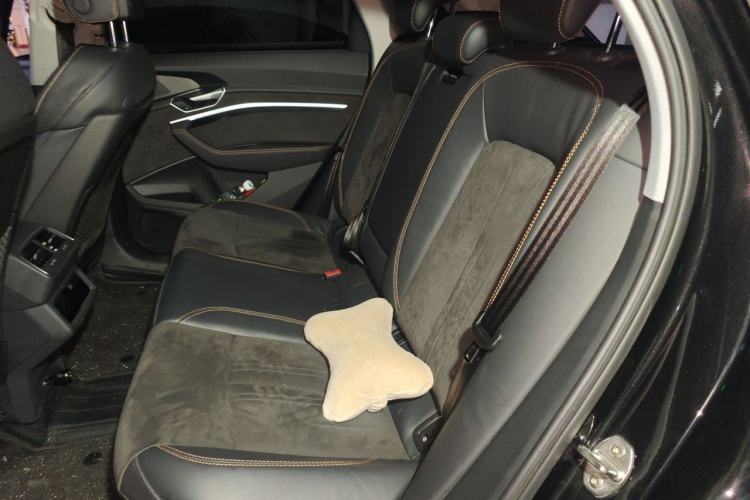 Used Audi e-tron 2021 50 quattro Luxury Edition Left Rear Seat