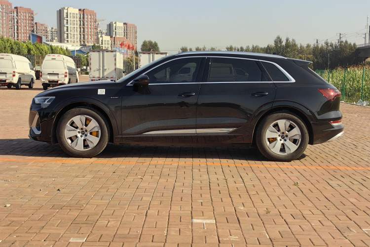 Used Audi e-tron 2021 50 quattro Luxury Edition Left Side
