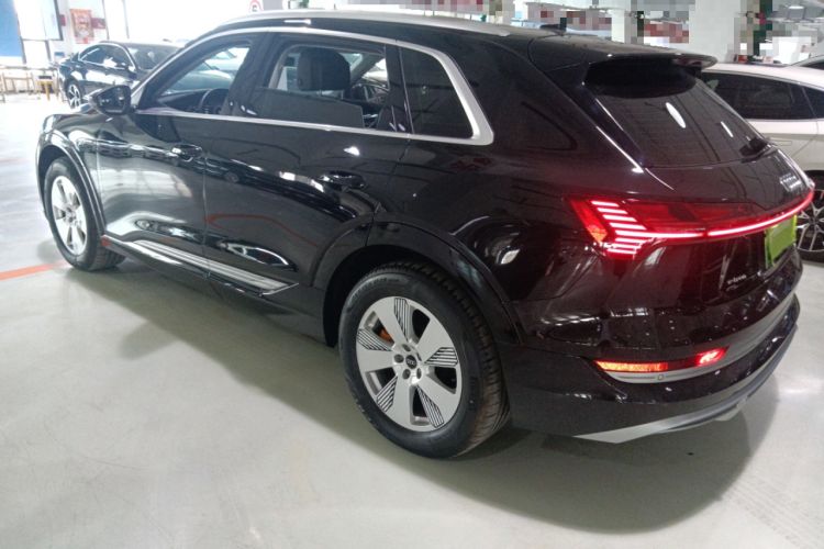 Used Audi e-tron 2021 50 quattro Luxury Edition Left Side
