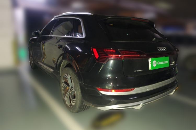 Used Audi e-tron 2021 50 quattro Luxury Edition Rear Left 45 Deg