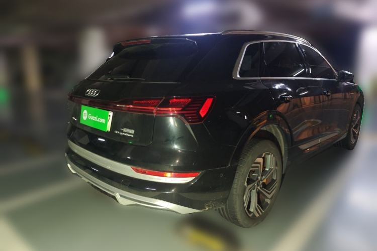 Used Audi e-tron 2021 50 quattro Luxury Edition Rear Right 45 Deg
