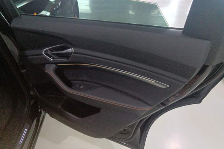 Used Audi e-tron 2021 50 quattro Luxury Edition Right Rear Door Interior