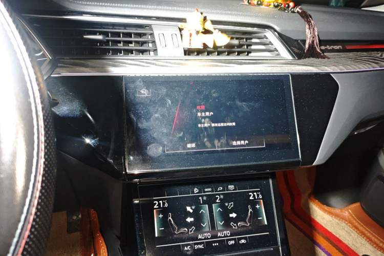 Used Audi e-tron 2021 50 quattro Prestige Edition Audio And AC Panel