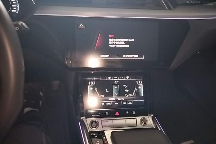 Used Audi e-tron 2021 50 quattro Luxury Edition Audio And AC Panel