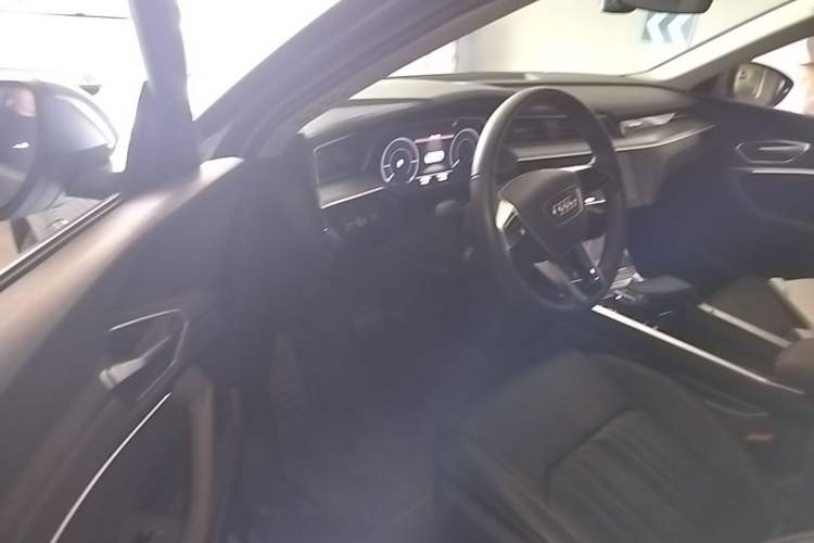 Used Audi e-tron 2021 50 quattro Luxury Edition Driver Seat