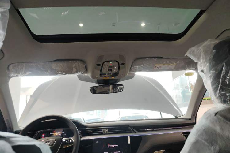 Used Audi e-tron 2021 50 quattro Luxury Edition Headliner