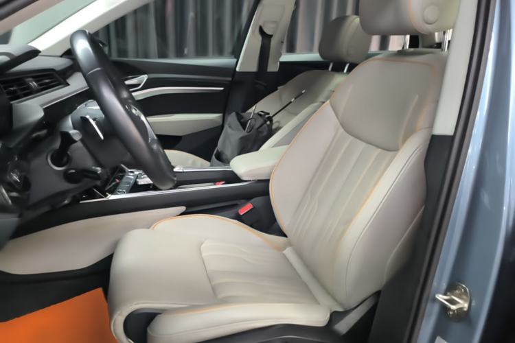 Used Audi e-tron 2021 50 quattro Prestige Edition Left Front Seat