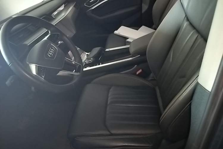 Used Audi e-tron 2021 50 quattro Luxury Edition Left Front Seat