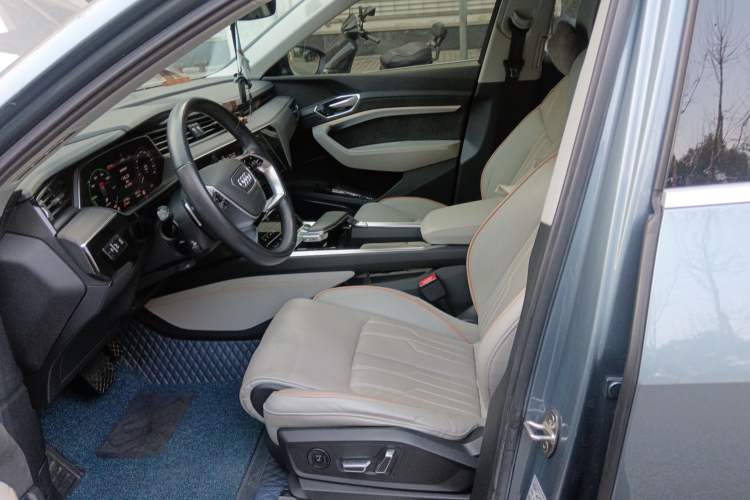 Used Audi e-tron 2021 50 quattro Prestige Edition Left Front Seat