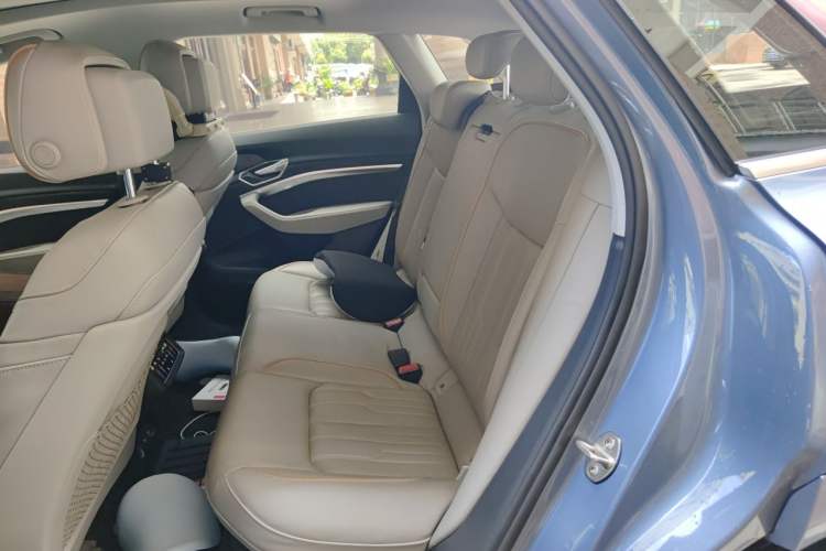 Used Audi e-tron 2021 50 quattro Prestige Edition Left Rear Seat