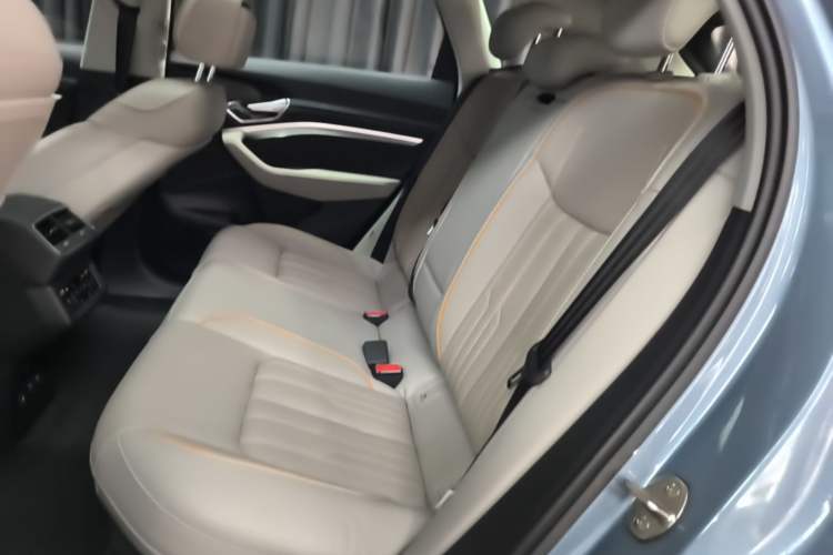 Used Audi e-tron 2021 50 quattro Prestige Edition Left Rear Seat