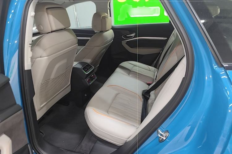 Used Audi e-tron 2021 50 quattro Prestige Edition Left Rear Seat