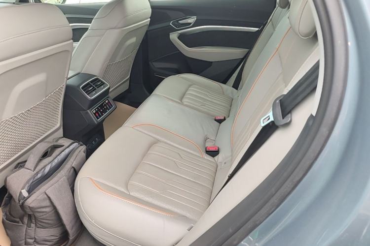 Used Audi e-tron 2021 50 quattro Prestige Edition Left Rear Seat