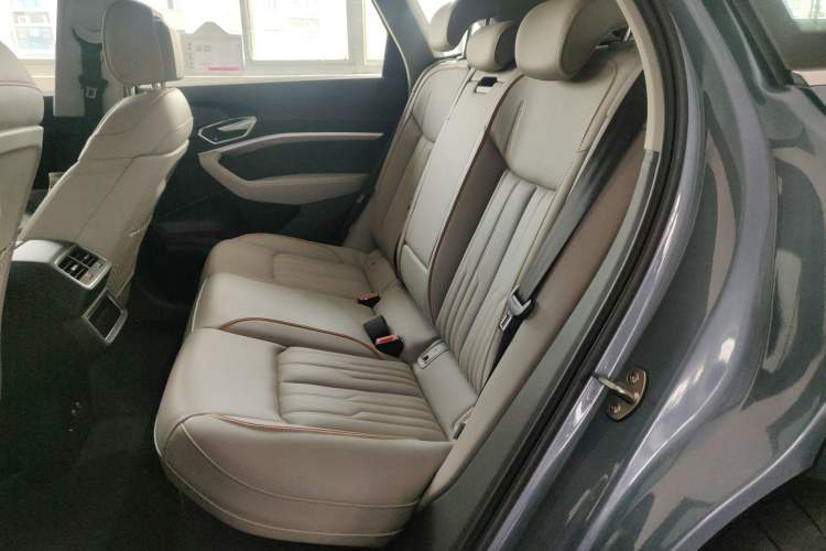 Used Audi e-tron 2021 50 quattro Prestige Edition Left Rear Seat
