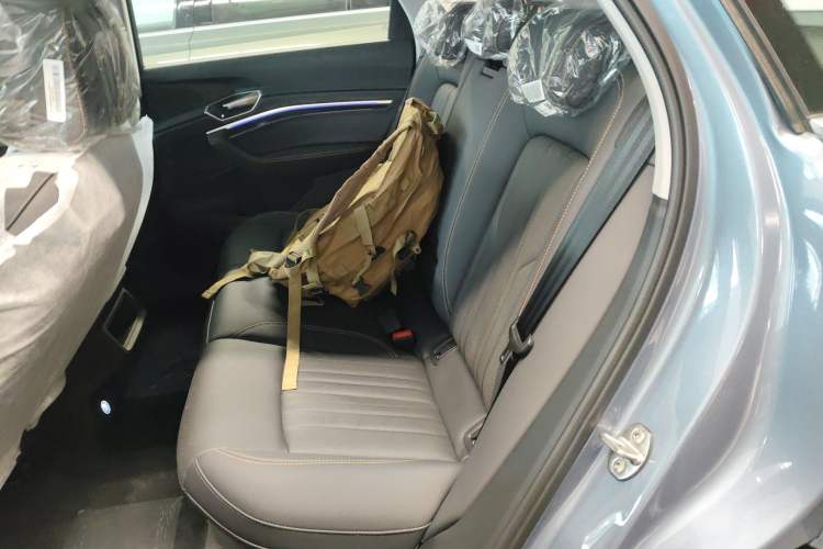 Used Audi e-tron 2021 50 quattro Luxury Edition Left Rear Seat
