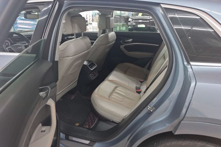 Used Audi e-tron 2021 50 quattro Prestige Edition Left Rear Seat