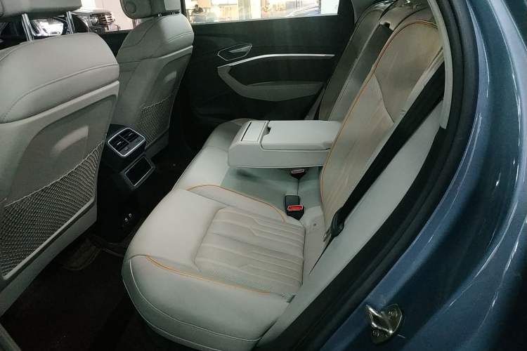 Used Audi e-tron 2021 50 quattro Prestige Edition Left Rear Seat