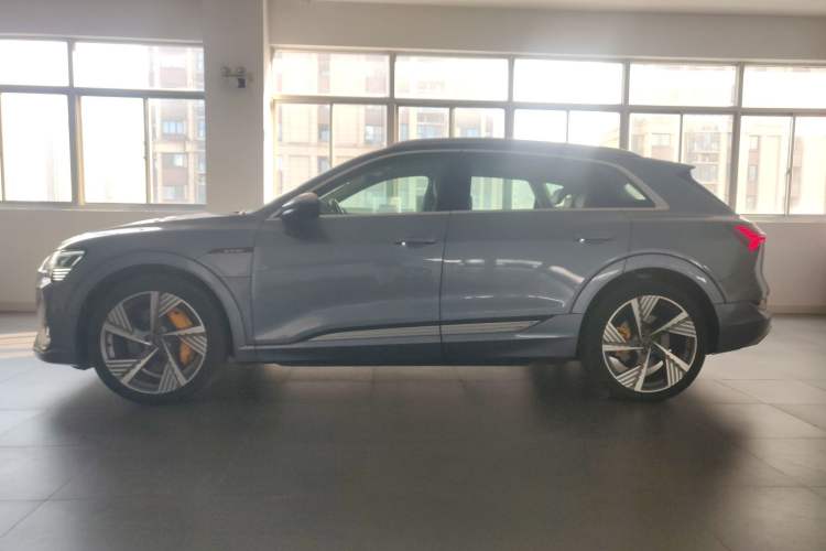 Used Audi e-tron 2021 50 quattro Prestige Edition Left Side
