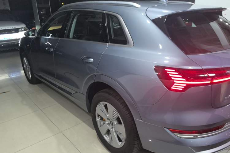 Used Audi e-tron 2021 50 quattro Luxury Edition Left Side