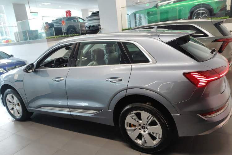 Used Audi e-tron 2021 50 quattro Luxury Edition Left Side