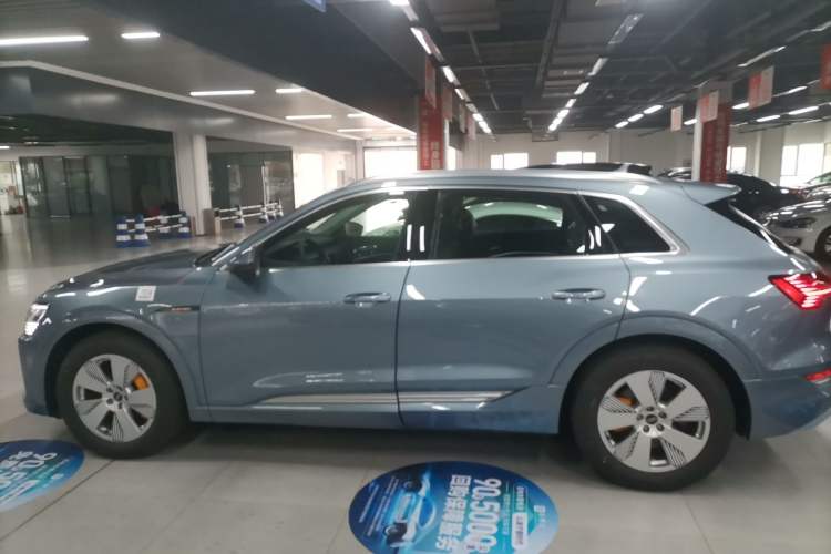 Used Audi e-tron 2021 50 quattro Luxury Edition Left Side