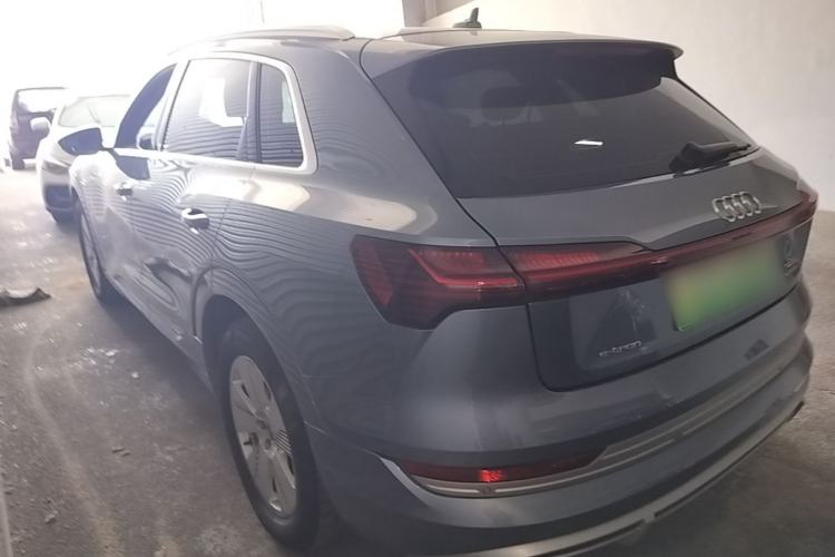 Used Audi e-tron 2021 50 quattro Luxury Edition Rear Left 45 Deg