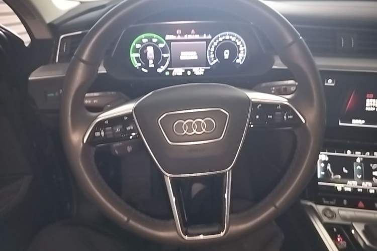 Used Audi e-tron 2021 50 quattro Luxury Edition Steering Wheel