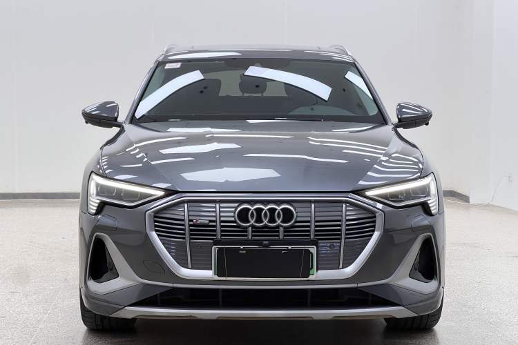 Used Audi e-tron 2021 50 quattro Luxury Edition Exterior 1