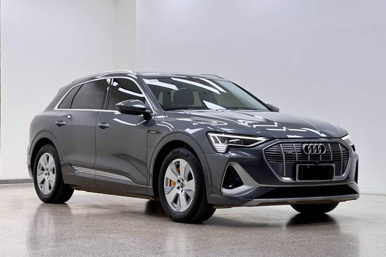 Used Audi e-tron 2021 50 quattro Luxury Edition Exterior 5