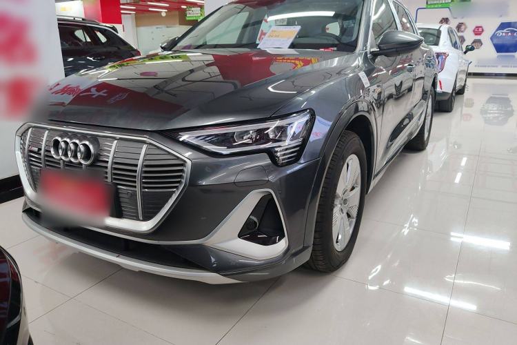 Used Audi e-tron 2021 50 quattro Luxury Edition Exterior 5