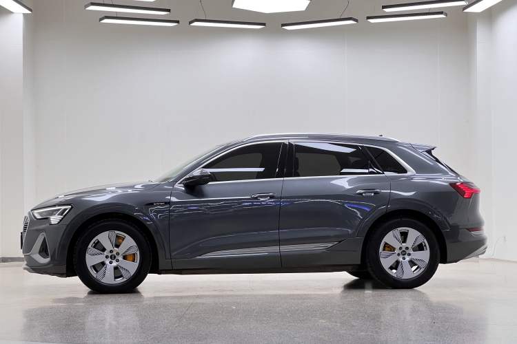 Used Audi e-tron 2021 50 quattro Luxury Edition Exterior 6